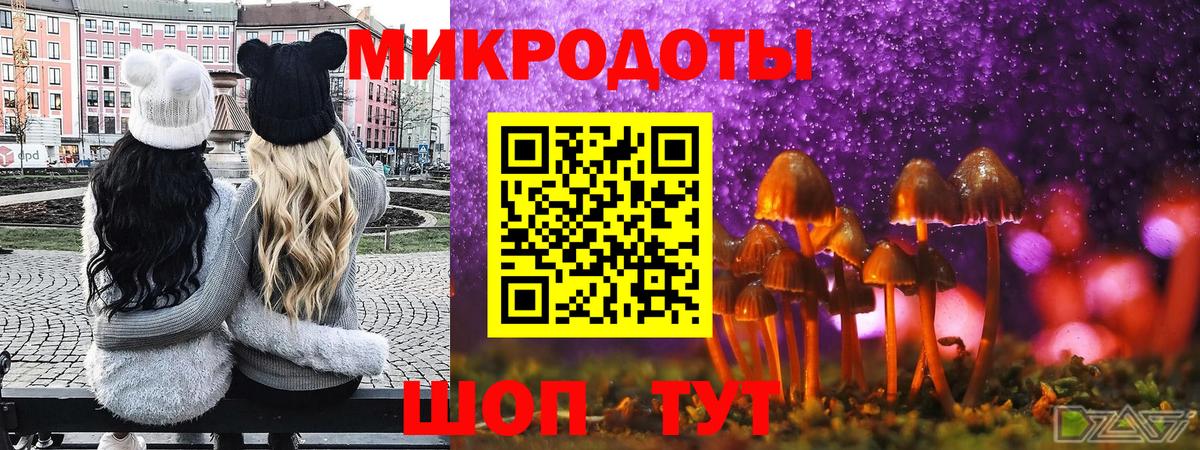 Галлюциногенные грибы Cubensis Орёл