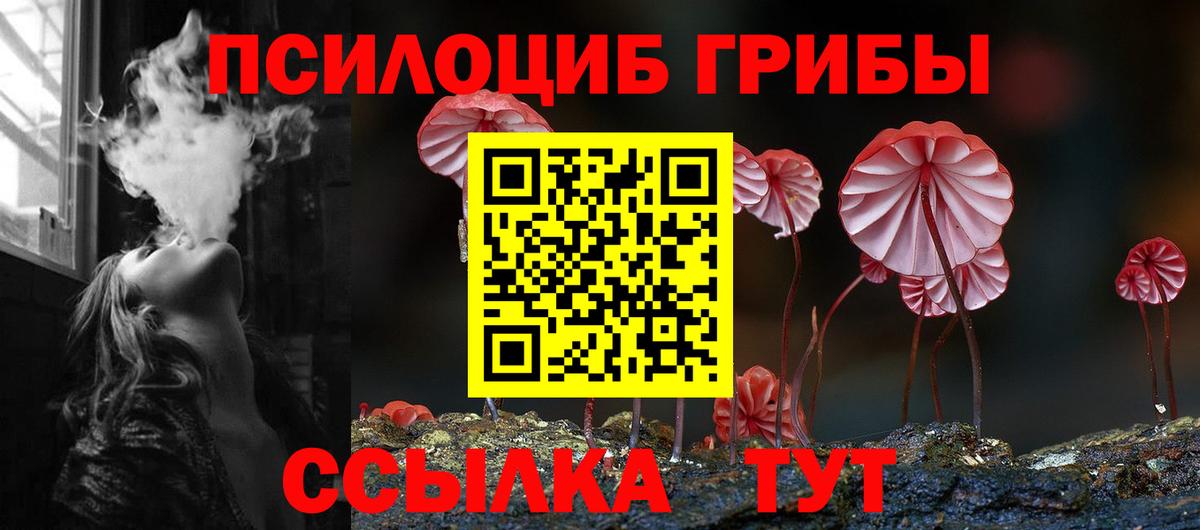 закладки  Псилоцибиновые грибы Magic Shrooms  Вход с VPN  Псилоцибиновые грибы мицелий  Орёл 